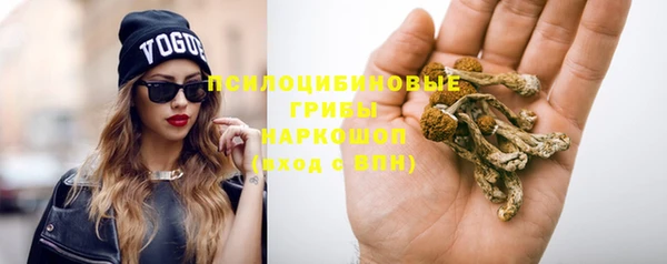 кокс Абаза