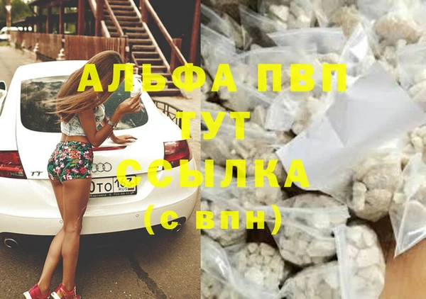 стаф Абинск