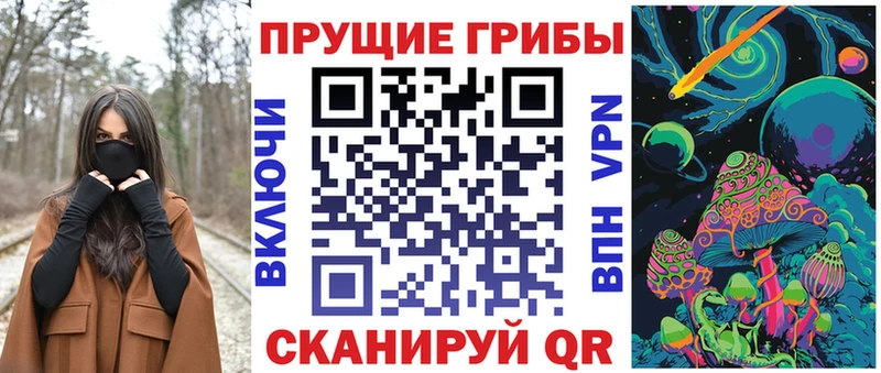 Псилоцибиновые грибы GOLDEN TEACHER  где купить наркоту  Сясьстрой 
