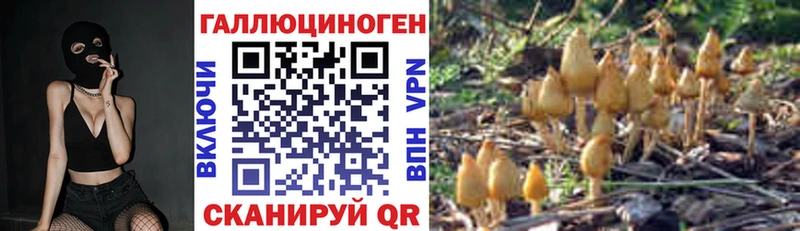 Галлюциногенные грибы Cubensis Сясьстрой