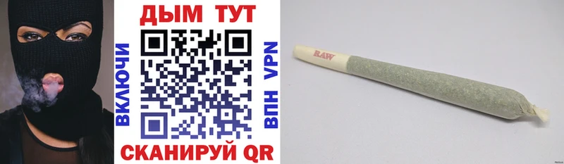 Канабис индика  Сясьстрой 